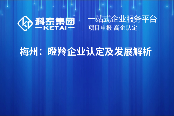 梅州：瞪羚企業(yè)認(rèn)定及發(fā)展解析