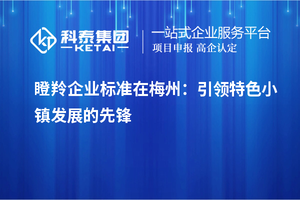 瞪羚企業(yè)標準在梅州：引領(lǐng)特色小鎮(zhèn)發(fā)展的先鋒