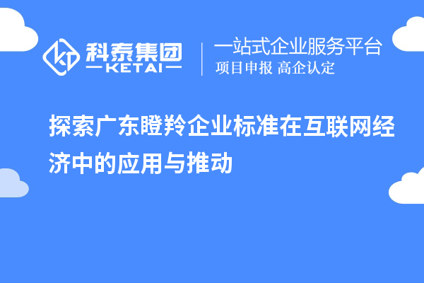 探索廣東瞪羚企業(yè)標準在互聯(lián)網經濟中的應用與推動