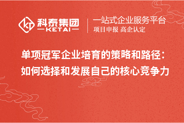 單項冠軍企業(yè)培育的策略和路徑：如何選擇和發(fā)展自己的核心競爭力