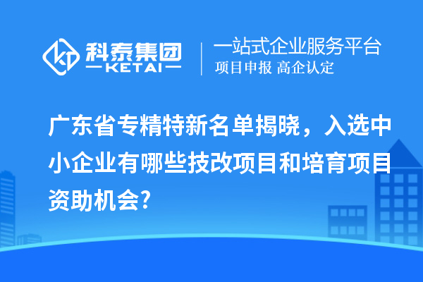 廣東省專精特新名單揭曉，入選中小企業(yè)有哪些技改項目和培育項目資助機會?