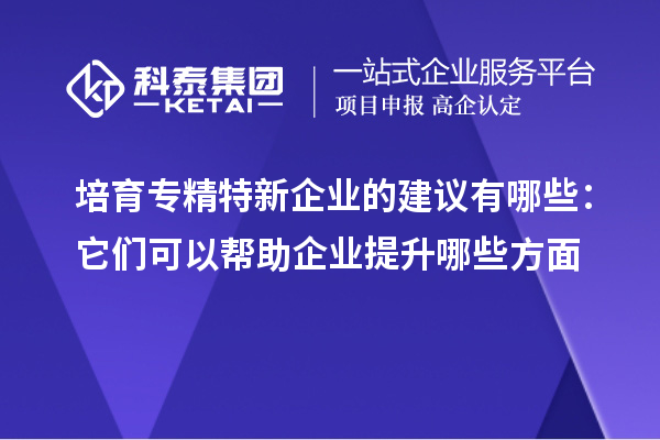 培育專精特新企業(yè)的建議有哪些：它們可以幫助企業(yè)提升哪些方面