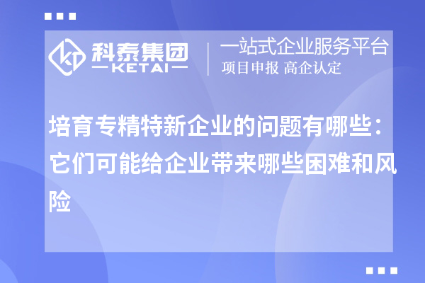 培育專(zhuān)精特新企業(yè)的問(wèn)題有哪些：它們可能給企業(yè)帶來(lái)哪些困難和風(fēng)險(xiǎn)