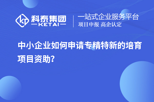 中小企業(yè)如何申請專精特新的培育項(xiàng)目資助？