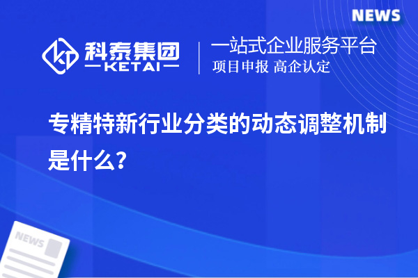 專精特新行業(yè)分類的動態(tài)調整機制是什么？