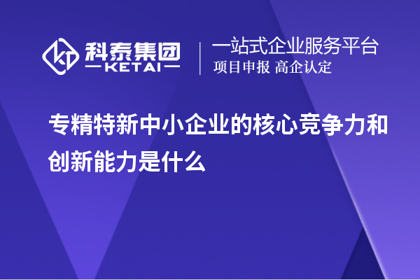 專精特新中小企業(yè)的核心競爭力和創(chuàng)新能力是什么