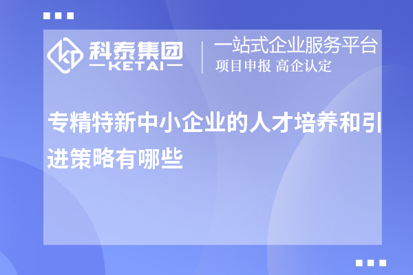 專精特新中小企業(yè)的人才培養(yǎng)和引進(jìn)策略有哪些