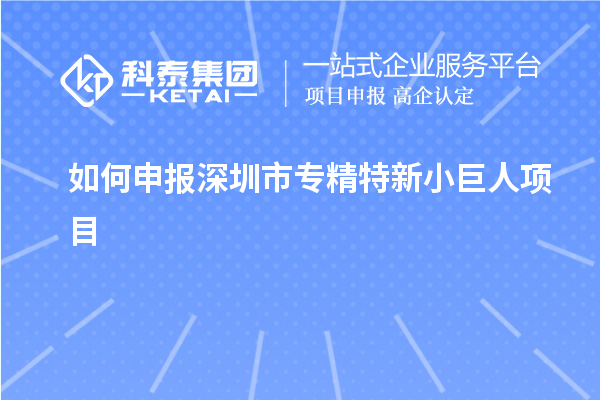 如何申報深圳市專精特新小巨人項目