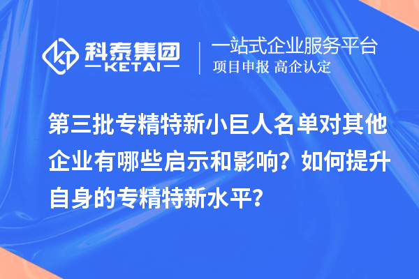 第三批專精特新小巨人名單對(duì)其他企業(yè)有哪些啟示和影響？如何提升自身的專精特新水平？