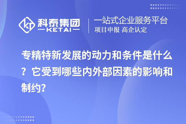 專精特新發(fā)展的動(dòng)力和條件是什么？它受到哪些內(nèi)外部因素的影響和制約？