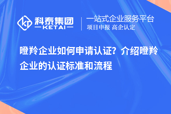 瞪羚企業(yè)如何申請認證？介紹瞪羚企業(yè)的認證標準和流程