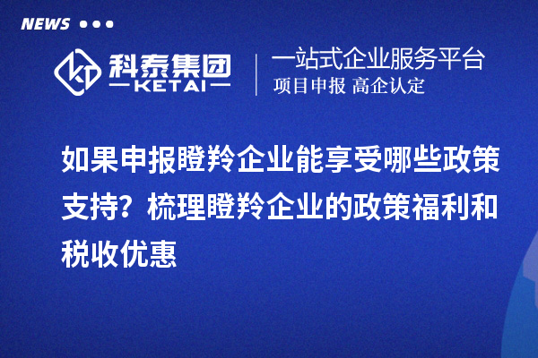 如果申報瞪羚企業(yè)能享受哪些政策支持？梳理瞪羚企業(yè)的政策福利和稅收優(yōu)惠