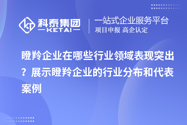 瞪羚企業(yè)在哪些行業(yè)領(lǐng)域表現(xiàn)突出？展示瞪羚企業(yè)的行業(yè)分布和代表案例