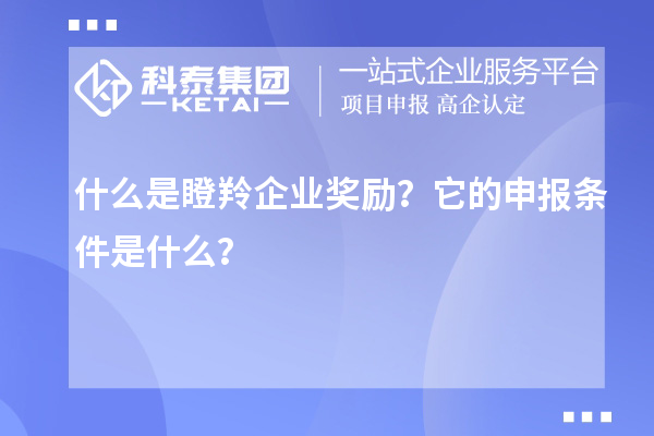 什么是瞪羚企業(yè)獎(jiǎng)勵(lì)？它的申報(bào)條件是什么？