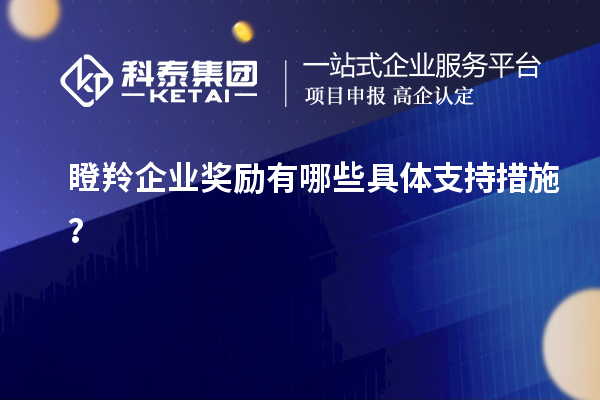 瞪羚企業(yè)獎勵有哪些具體支持措施？