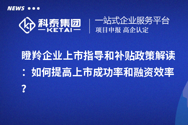 瞪羚企業(yè)上市指導(dǎo)和補貼政策解讀：如何提高上市成功率和融資效率？