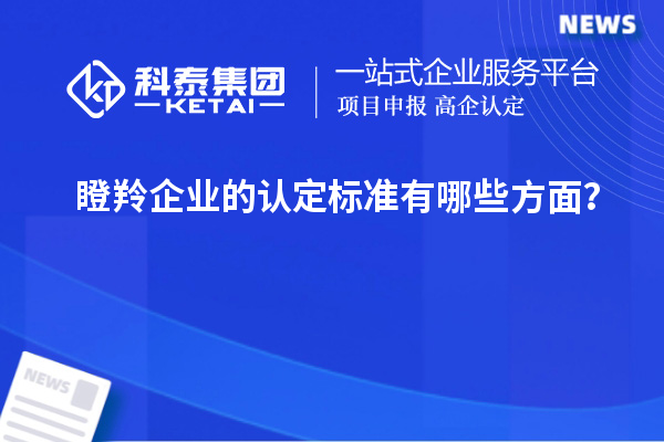 瞪羚企業(yè)的認(rèn)定標(biāo)準(zhǔn)有哪些方面？