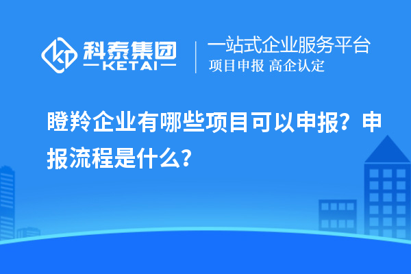 瞪羚企業(yè)有哪些項目可以申報？申報流程是什么？