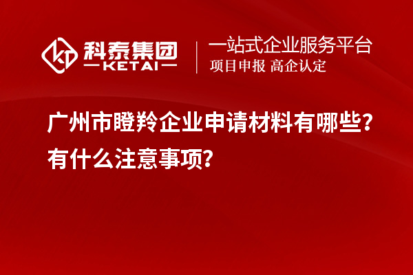 廣州市瞪羚企業(yè)申請材料有哪些？有什么注意事項？