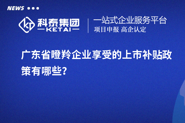 廣東省瞪羚企業(yè)享受的上市補(bǔ)貼政策有哪些？