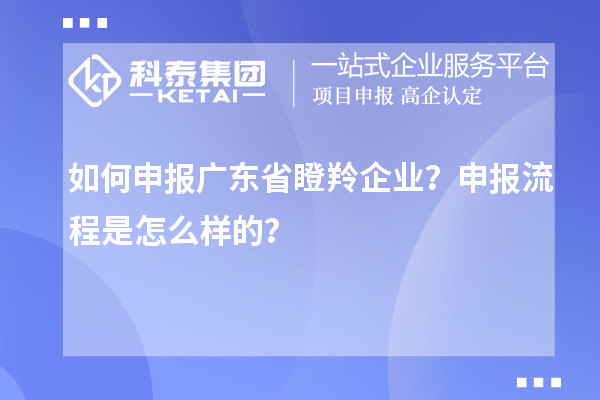 如何申報(bào)廣東省瞪羚企業(yè)？申報(bào)流程是怎么樣的？