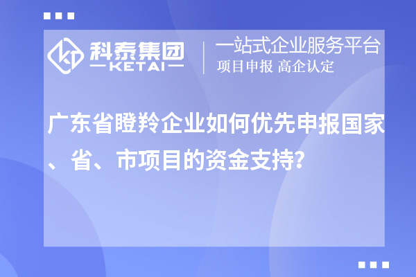 廣東省瞪羚企業(yè)如何優(yōu)先申報國家、省、市項目的資金支持？