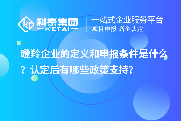 瞪羚企業(yè)的定義和申報條件是什么？認定后有哪些政策支持？