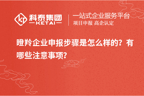 瞪羚企業(yè)申報(bào)步驟是怎么樣的？有哪些注意事項(xiàng)？