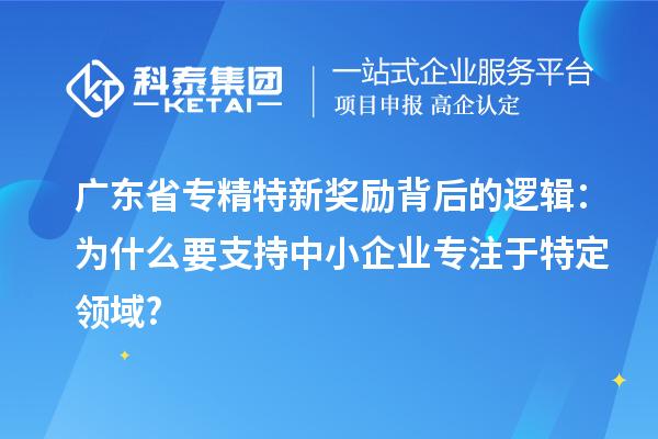 廣東省專精特新獎勵背后的邏輯：為什么要支持中小企業(yè)專注于特定領(lǐng)域?