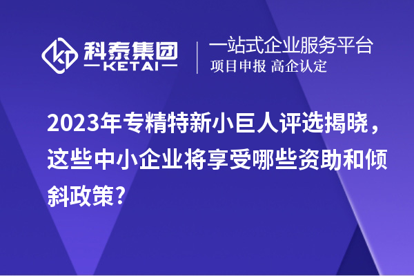 2023年專精特新小巨人評(píng)選揭曉，這些中小企業(yè)將享受哪些資助和傾斜政策?