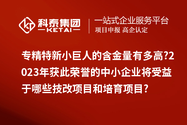 專精特新小巨人的含金量有多高?2023年獲此榮譽的中小企業(yè)將受益于哪些技改項目和培育項目?