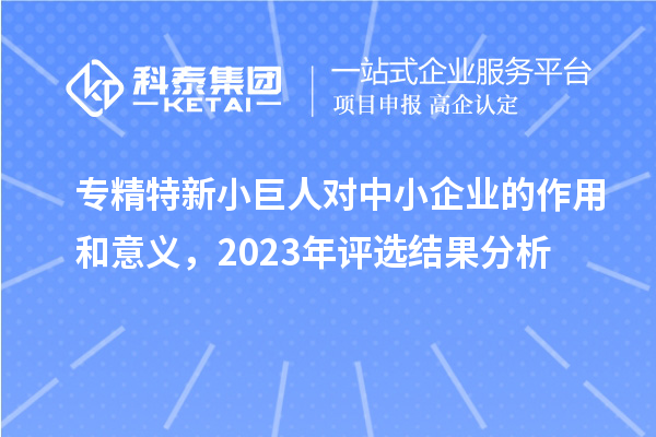 專精特新小巨人對(duì)中小企業(yè)的作用和意義，2023年評(píng)選結(jié)果分析