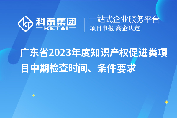 廣東省2023年度知識產(chǎn)權(quán)促進(jìn)類項(xiàng)目中期檢查時間、條件要求