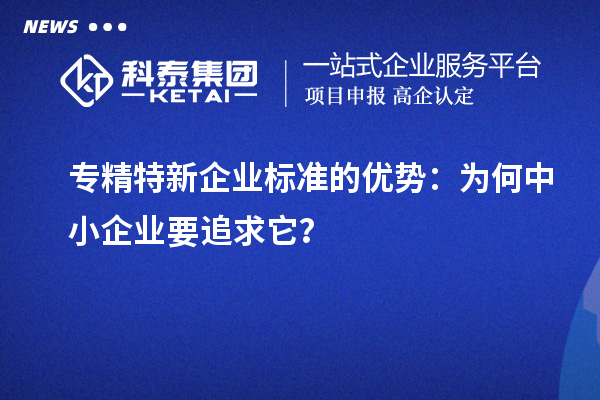 專精特新企業(yè)標準的優(yōu)勢：為何中小企業(yè)要追求它？