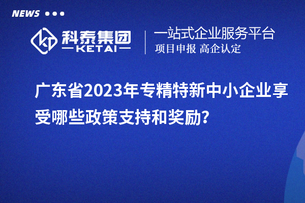 廣東省2023年專精特新中小企業(yè)享受哪些政策支持和獎勵？