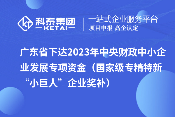 廣東省下達(dá)2023年中央財(cái)政中小企業(yè)發(fā)展專項(xiàng)資金（國(guó)家級(jí)專精特新“小巨人”企業(yè)獎(jiǎng)補(bǔ)）