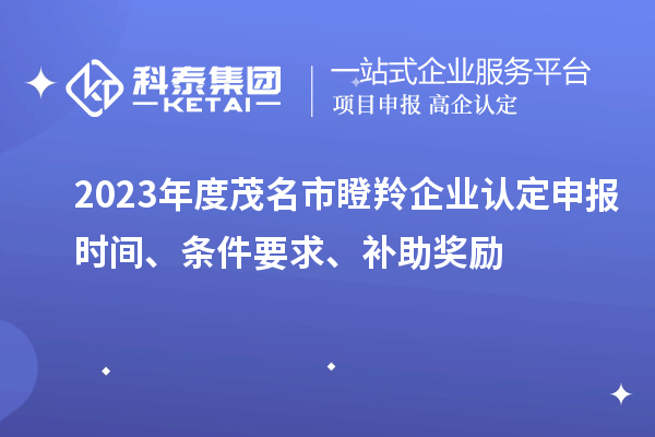 2023年度茂名市瞪羚企業(yè)認(rèn)定申報(bào)時(shí)間、條件要求、補(bǔ)助獎(jiǎng)勵(lì)