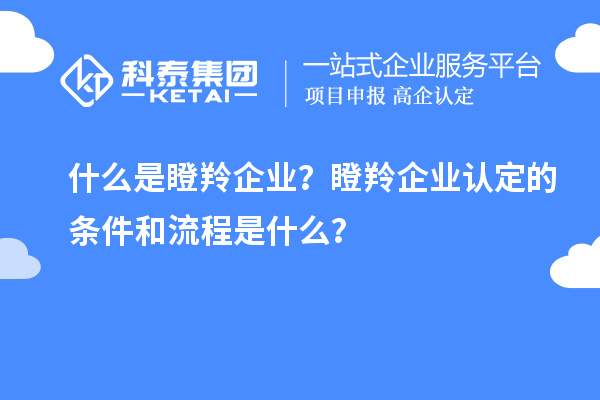 什么是瞪羚企業(yè)？<a href=http://m.gif521.com/fuwu/dengling.html target=_blank class=infotextkey>瞪羚企業(yè)認(rèn)定</a>的條件和流程是什么？