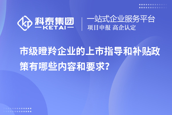 市級瞪羚企業(yè)的上市指導(dǎo)和補貼政策有哪些內(nèi)容和要求？