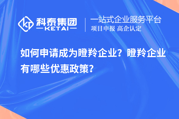 如何申請(qǐng)成為瞪羚企業(yè)？瞪羚企業(yè)有哪些優(yōu)惠政策？