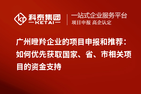 廣州瞪羚企業(yè)的項目申報和推薦：如何優(yōu)先獲取國家、省、市相關項目的資金支持