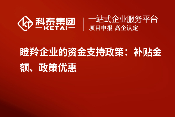 瞪羚企業(yè)的資金支持政策：補(bǔ)貼金額、政策優(yōu)惠