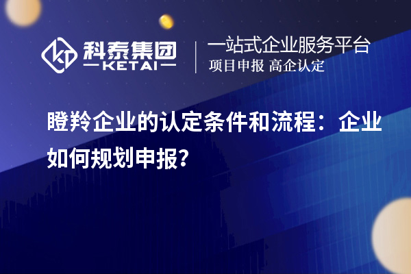 瞪羚企業(yè)的認定條件和流程：企業(yè)如何規(guī)劃申報？