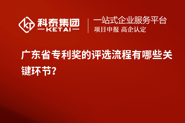 廣東省專利獎(jiǎng)的評(píng)選流程有哪些關(guān)鍵環(huán)節(jié)？