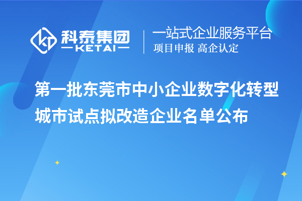 第一批東莞市中小企業(yè)數(shù)字化轉型城市試點擬改造企業(yè)名單公布