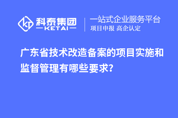 廣東省技術(shù)改造備案的項(xiàng)目實(shí)施和監(jiān)督管理有哪些要求？