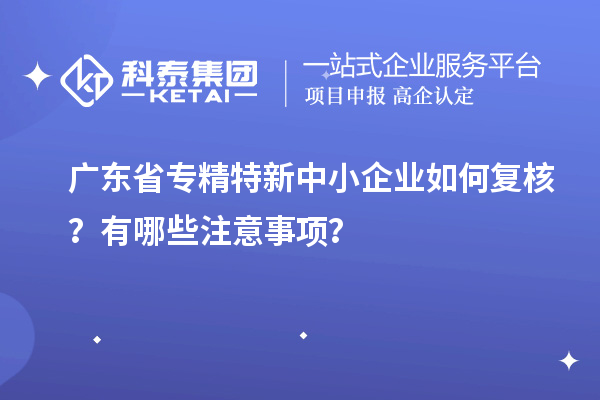 廣東省專精特新中小企業(yè)如何復(fù)核？有哪些注意事項(xiàng)？