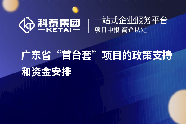 廣東省“首臺(tái)套”項(xiàng)目的政策支持和資金安排