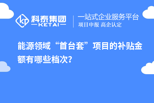 能源領(lǐng)域“首臺(tái)套”項(xiàng)目的補(bǔ)貼金額有哪些檔次？