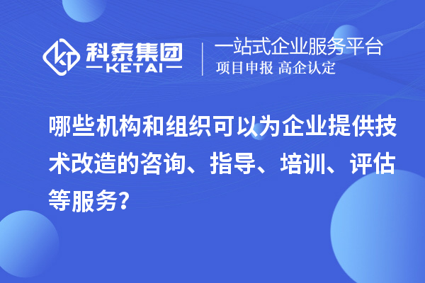 哪些機(jī)構(gòu)和組織可以為企業(yè)提供技術(shù)改造的咨詢、指導(dǎo)、培訓(xùn)、評(píng)估等服務(wù)？